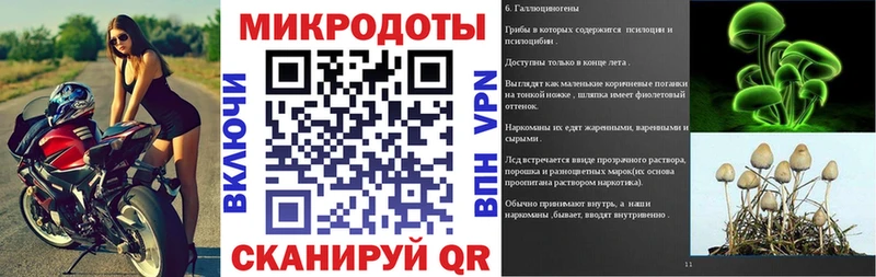 Галлюциногенные грибы Cubensis Нюрба